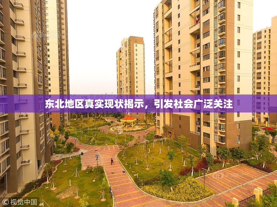 东北地区真实现状揭示，引发社会广泛关注