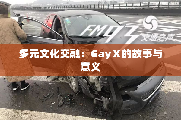 多元文化交融：GayⅩ的故事与意义
