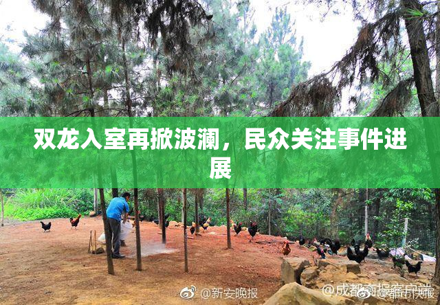 双龙入室再掀波澜，民众关注事件进展