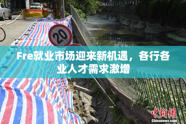 Fre就业市场迎来新机遇，各行各业人才需求激增