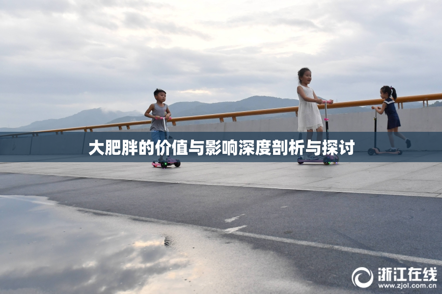 大肥胖的价值与影响深度剖析与探讨