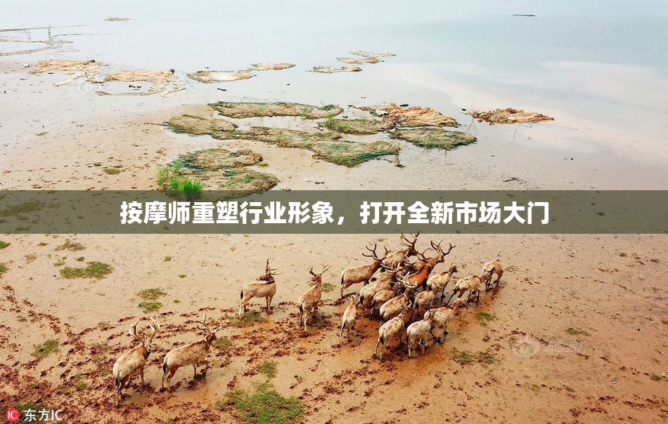 按摩师重塑行业形象，打开全新市场大门