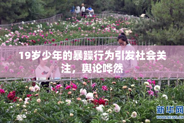 19岁少年的暴躁行为引发社会关注，舆论哗然
