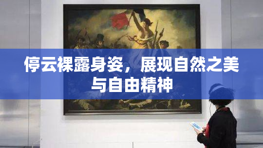 停云裸露身姿，展现自然之美与自由精神