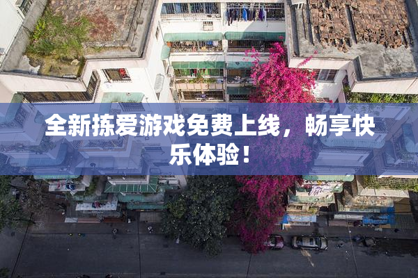 全新拣爱游戏免费上线，畅享快乐体验！
