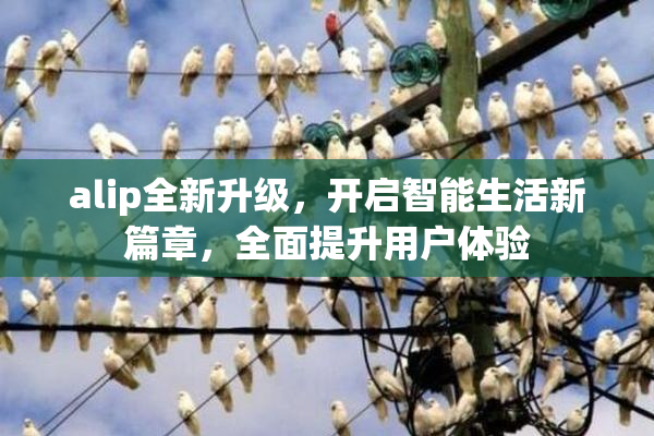 alip全新升级，开启智能生活新篇章，全面提升用户体验