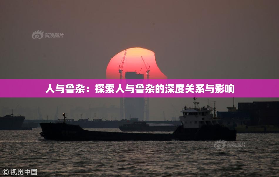 人与鲁杂：探索人与鲁杂的深度关系与影响