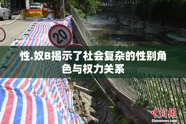 性.奴B揭示了社会复杂的性别角色与权力关系