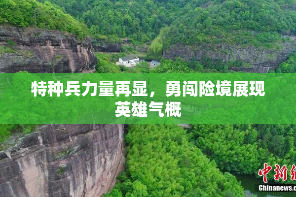 特种兵力量再显，勇闯险境展现英雄气概