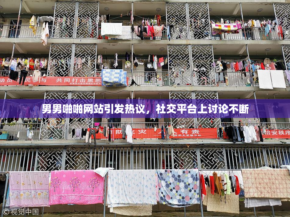 男男啪啪网站引发热议，社交平台上讨论不断
