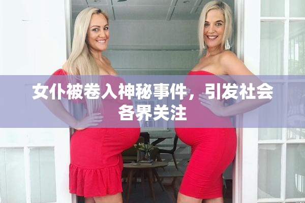 女仆被卷入神秘事件，引发社会各界关注