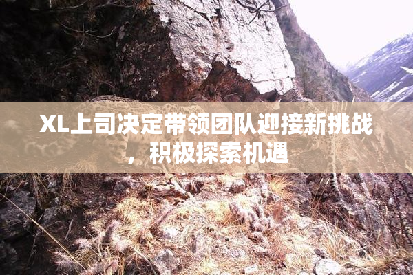 XL上司决定带领团队迎接新挑战，积极探索机遇