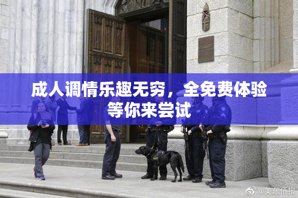 成人调情乐趣无穷，全免费体验等你来尝试