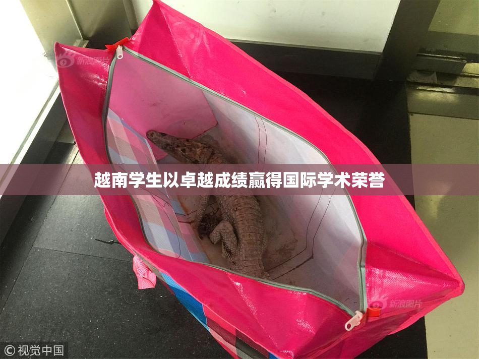 越南学生以卓越成绩赢得国际学术荣誉