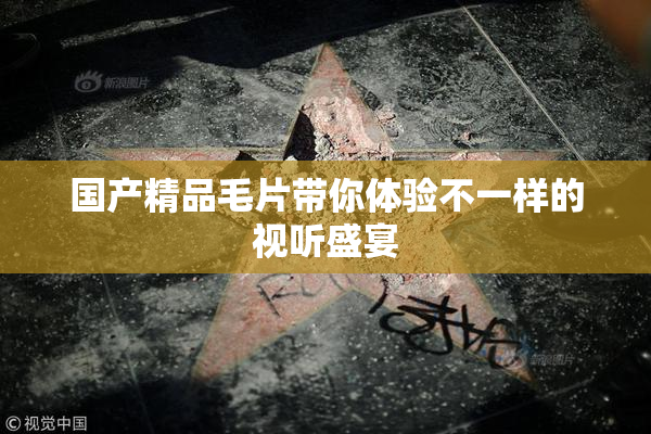 国产精品毛片带你体验不一样的视听盛宴