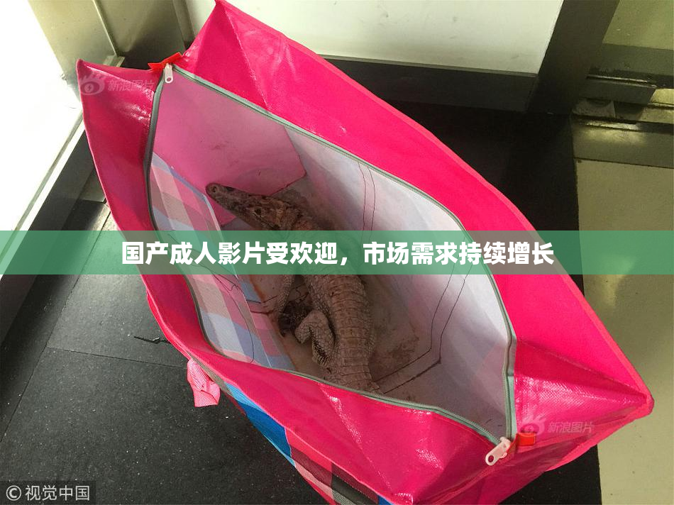 国产成人影片受欢迎，市场需求持续增长