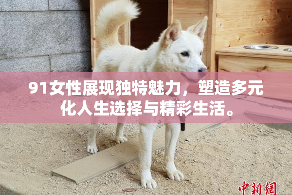 91女性展现独特魅力，塑造多元化人生选择与精彩生活。