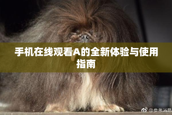 手机在线观看A的全新体验与使用指南