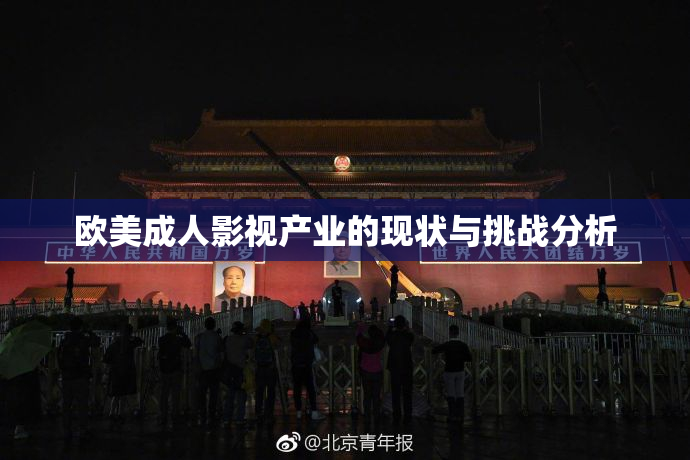 欧美成人影视产业的现状与挑战分析
