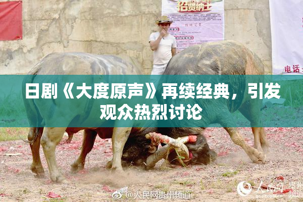 日剧《大度原声》再续经典，引发观众热烈讨论