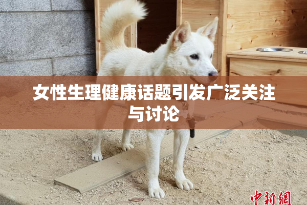 女性生理健康话题引发广泛关注与讨论