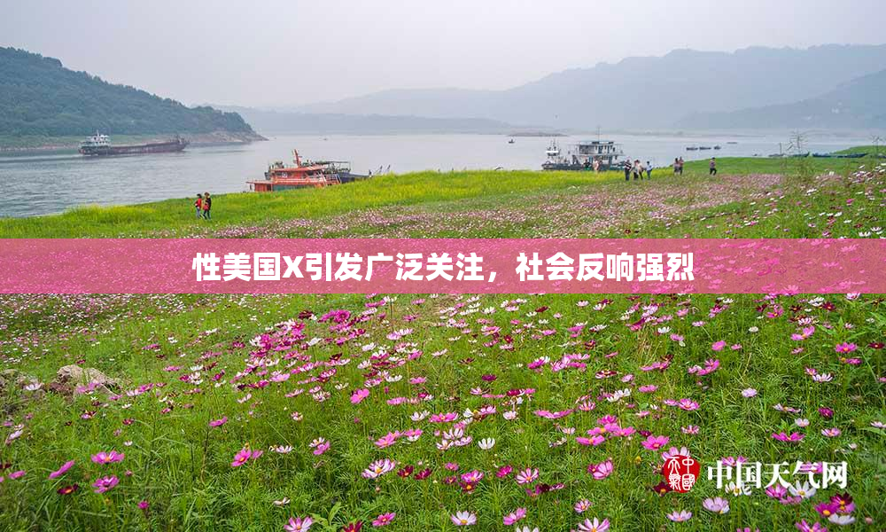 性美国X引发广泛关注，社会反响强烈