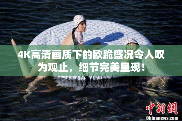 4K高清画质下的欧跪盛况令人叹为观止，细节完美呈现！