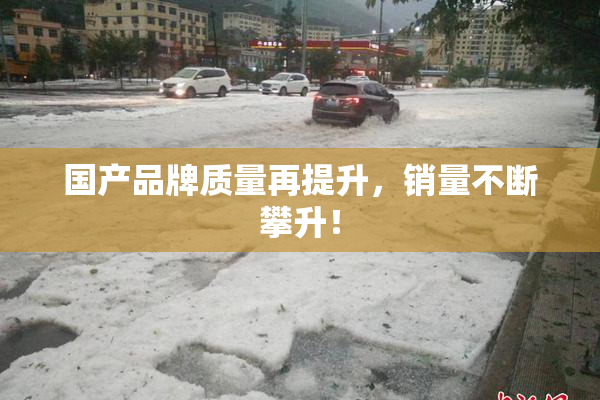国产品牌质量再提升，销量不断攀升！