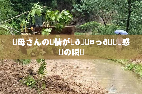 ✿母さんの愛情が詰🖤っ👅感動の瞬間