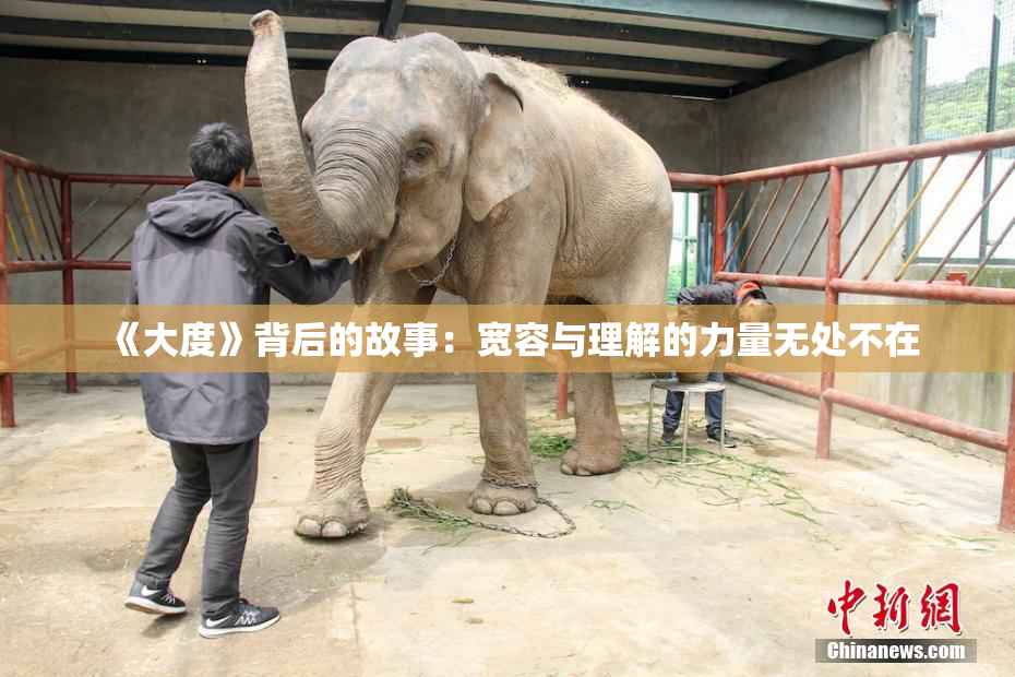 《大度》背后的故事：宽容与理解的力量无处不在