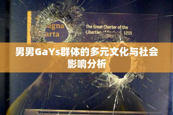 男男GaYs群体的多元文化与社会影响分析