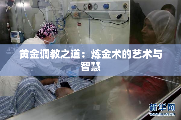 黄金调教之道：炼金术的艺术与智慧