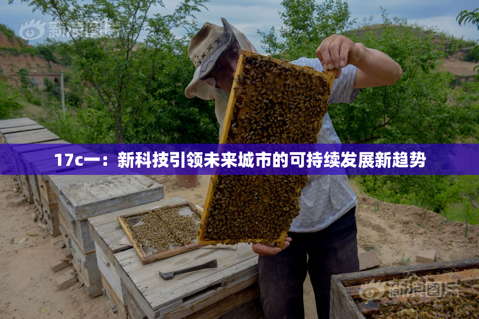 17c一：新科技引领未来城市的可持续发展新趋势
