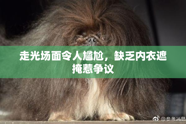 走光场面令人尴尬，缺乏内衣遮掩惹争议