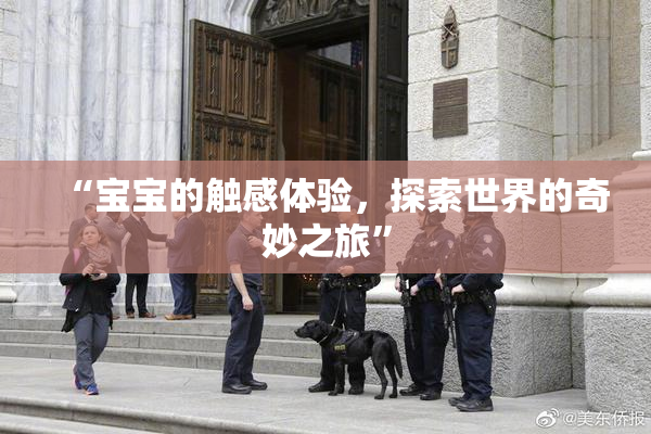 “宝宝的触感体验，探索世界的奇妙之旅”