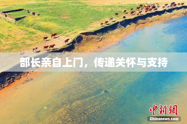 部长亲自上门，传递关怀与支持