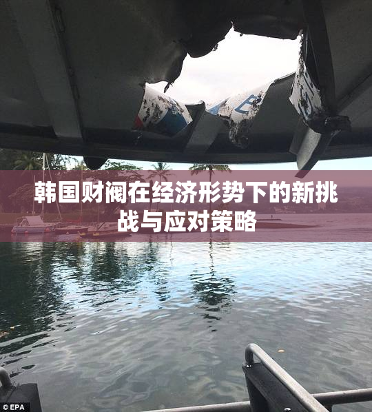 韩国财阀在经济形势下的新挑战与应对策略