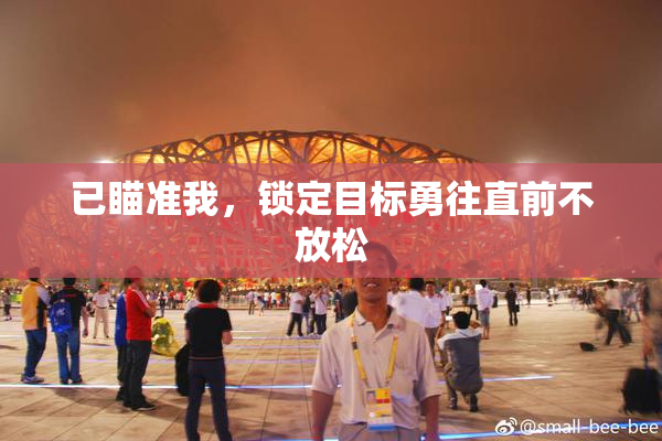 已瞄准我，锁定目标勇往直前不放松