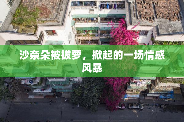 沙奈朵被拔萝，掀起的一场情感风暴