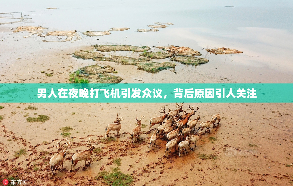 男人在夜晚打飞机引发众议，背后原因引人关注