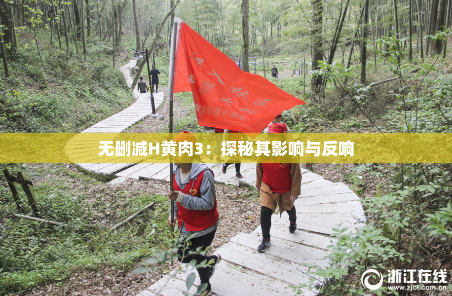 无删减H黄肉3：探秘其影响与反响