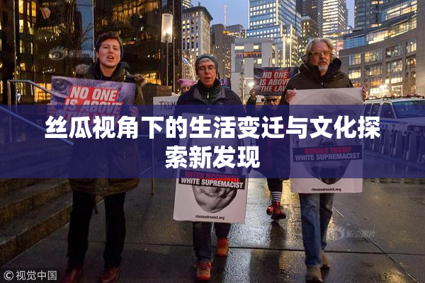 丝瓜视角下的生活变迁与文化探索新发现