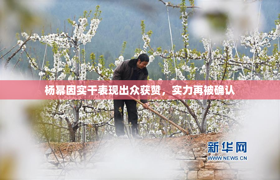 杨幂因实干表现出众获赞，实力再被确认