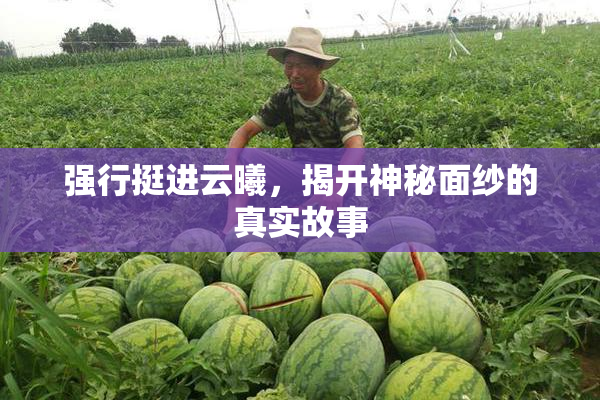 强行挺进云曦，揭开神秘面纱的真实故事