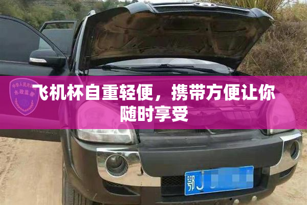 飞机杯自重轻便，携带方便让你随时享受