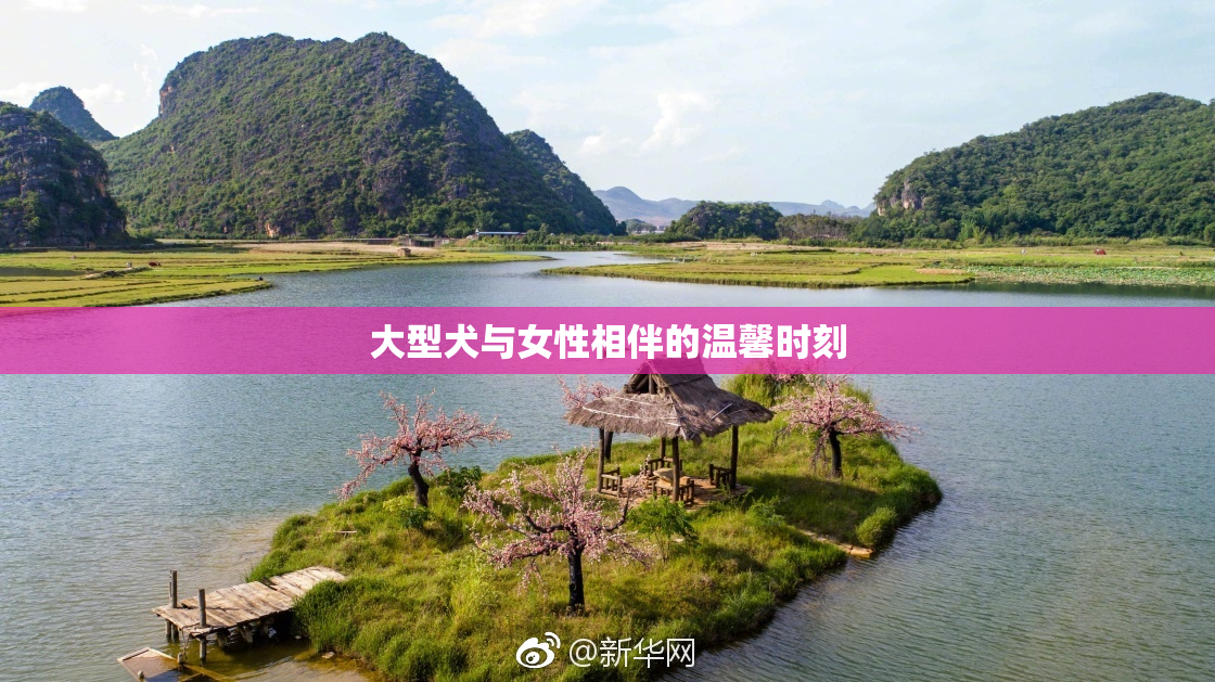 大型犬与女性相伴的温馨时刻
