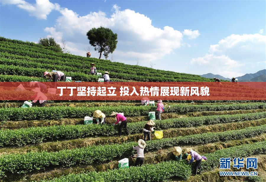 丁丁坚持起立 投入热情展现新风貌
