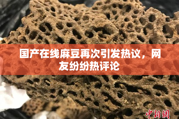 国产在线麻豆再次引发热议，网友纷纷热评论
