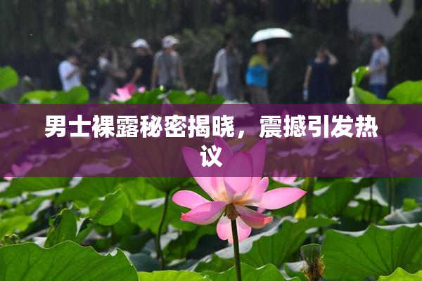 男士裸露秘密揭晓，震撼引发热议