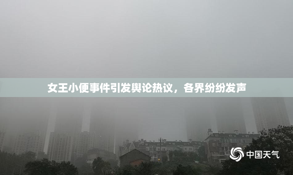 女王小便事件引发舆论热议，各界纷纷发声